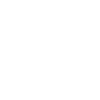 sns-icon