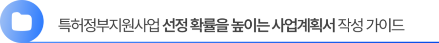 Group 2055248374 특허정부지원사업 선정 확률을 높이는 사업계획서 작성 실무 가이드