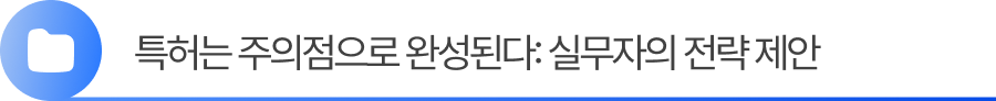 Group 2055248401 3. 특허내는법은 주의점으로 완성된다: 실무자의 전략 제안