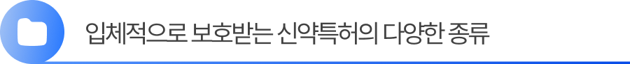 소제목1 1. 신약특허의 종류