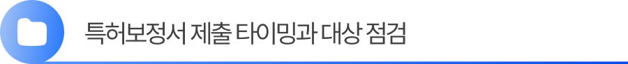 소제목1 (1) 1. 특허보정서 제출 타이밍과 대상 점검