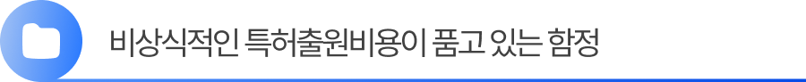 소제목2 (2) 2. 비상식적인 특허출원비용이 품고 있는 함정