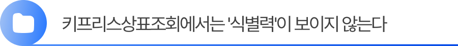 소제목3 (1) 3. 키프리스상표조회에서는 '식별력'이 보이지 않는다