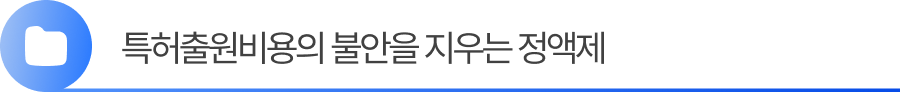 소제목3 (2) 3. 특허출원비용의 불안을 지우는 정액제