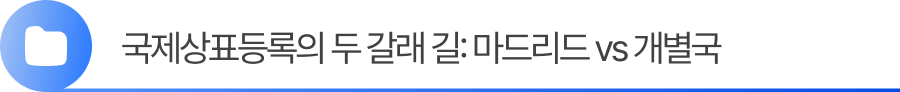 소제목1 1. 국제상표등록의 두 갈래 길: 마드리드출원 vs 개별국출원