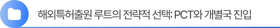 소제목1 1. 해외특허출원 루트의 전략적 선택: PCT와 개별국 진입