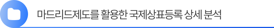 소제목2 2. 마드리드제도를 활용한 국제상표등록 상세 분석