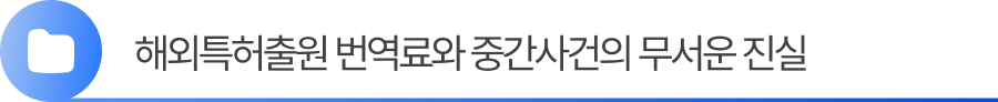 소제목2 2. 해외특허출원 번역료와 중간사건의 무서운 진실