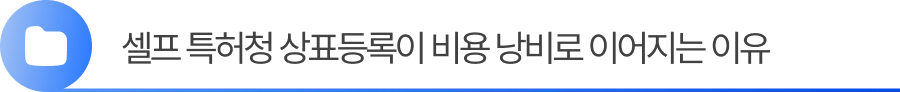 소제목2 2. 셀프 특허청 상표등록이 비용 낭비로 이어지는 이유