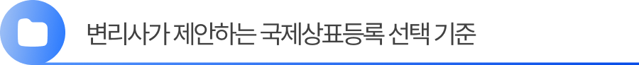 소제목3 3. 변리사가 제안하는 국제상표등록 선택 기준