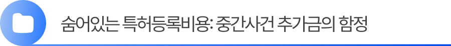 소제목3 3. 숨어있는 특허등록비용 폭탄: 중간사건과 우선심사의 진실